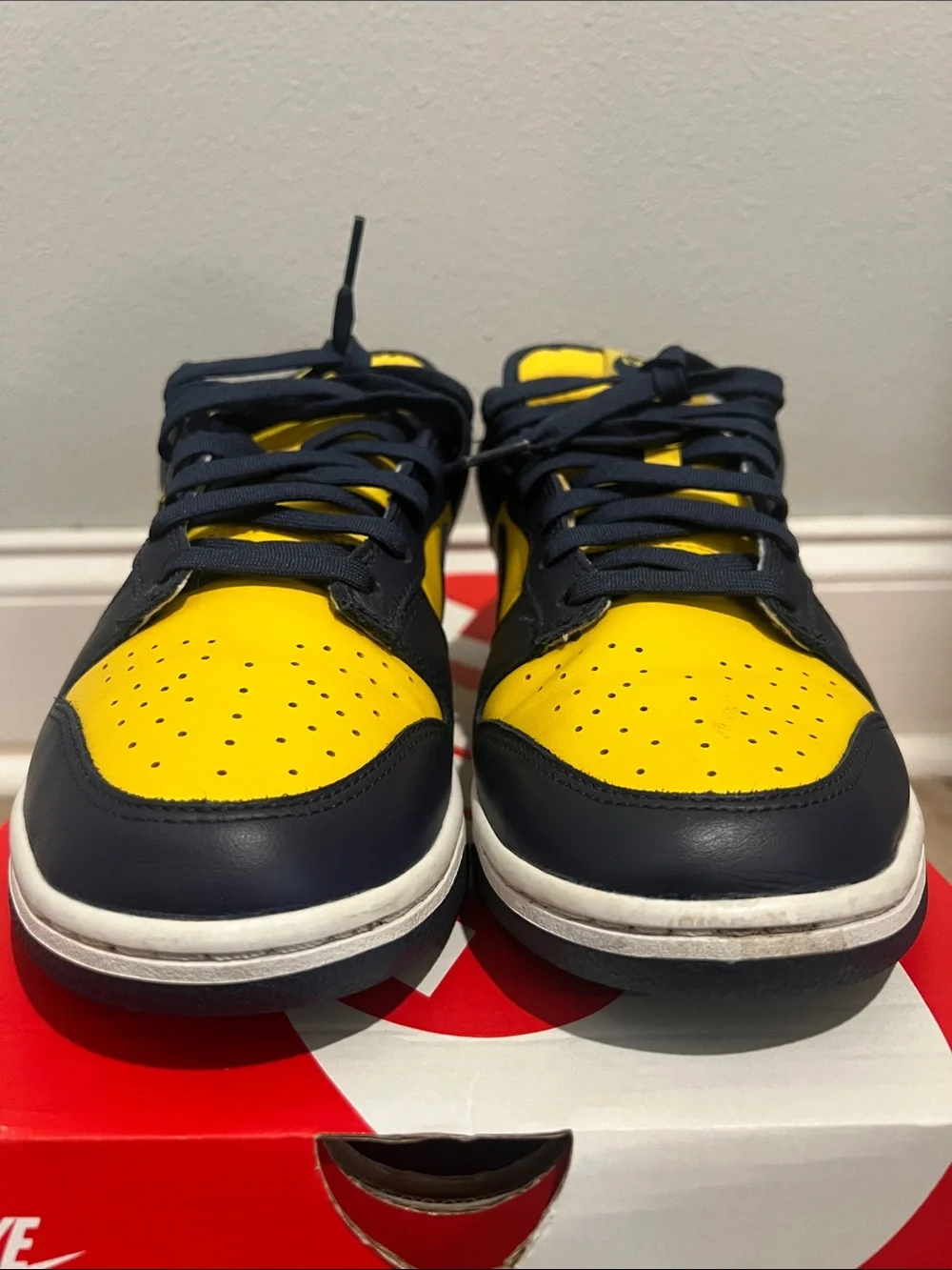 2021 Nike Dunk Low 'Michigan'